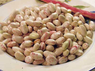Well-Traveled Heirloom Beans
